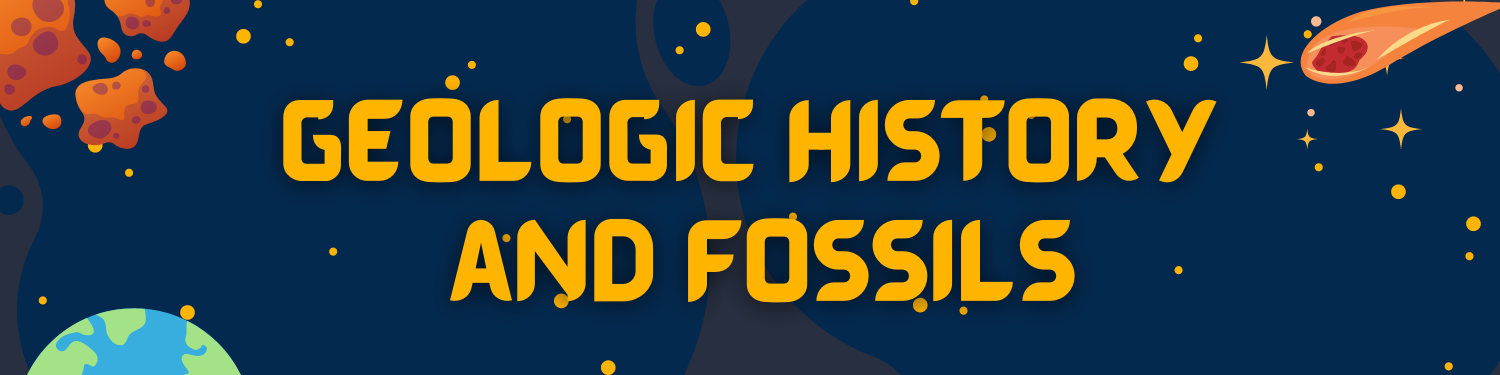 Unit 9: Geologic History and Fossils Banner